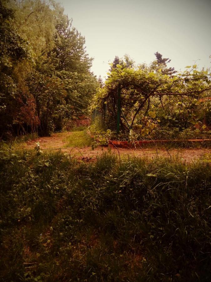 Agroturystyka U Babci Czchow Luaran gambar