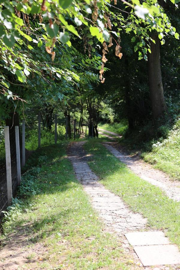 Agroturystyka U Babci Czchow Luaran gambar