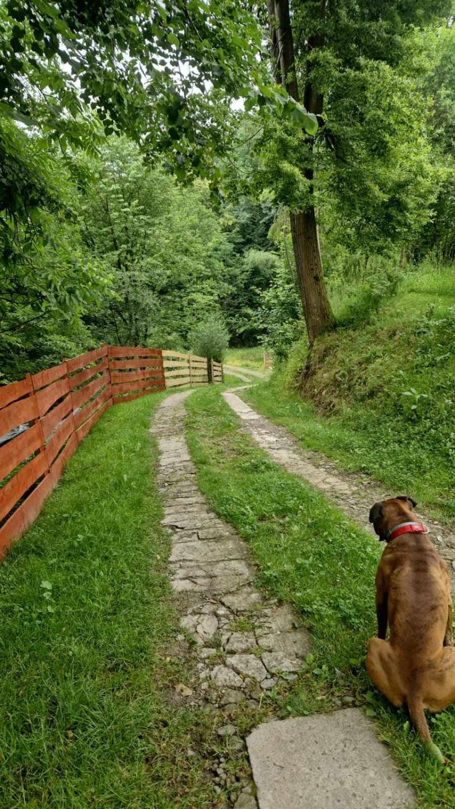 Agroturystyka U Babci Czchow Luaran gambar