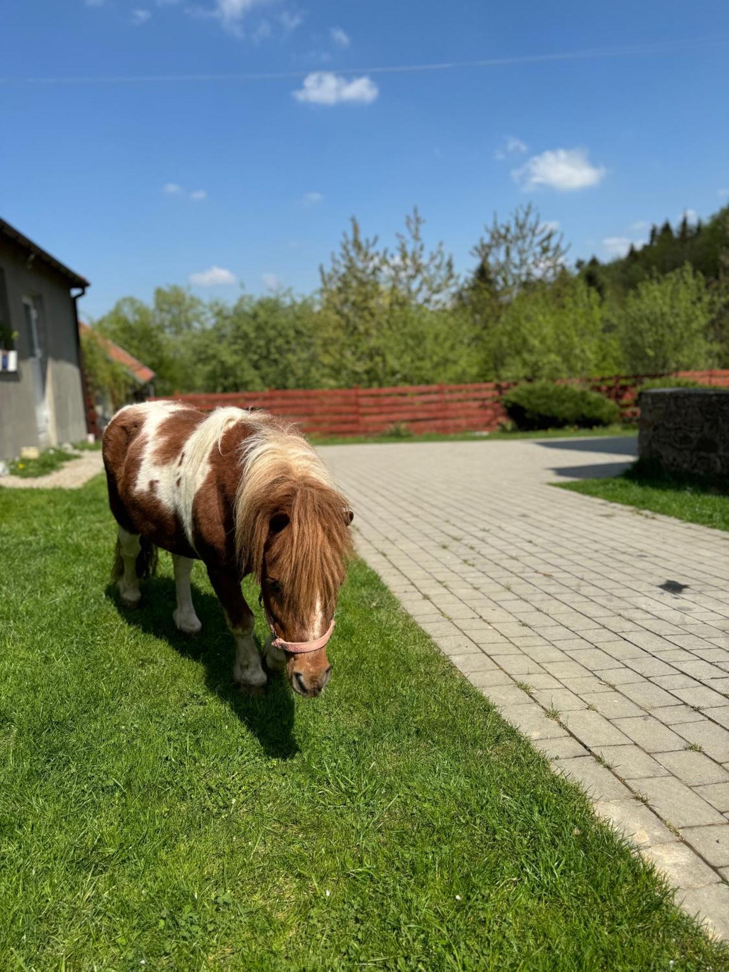 Agroturystyka U Babci Czchow Luaran gambar